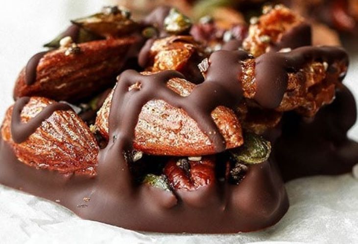Chocolate Nut Protein Bites