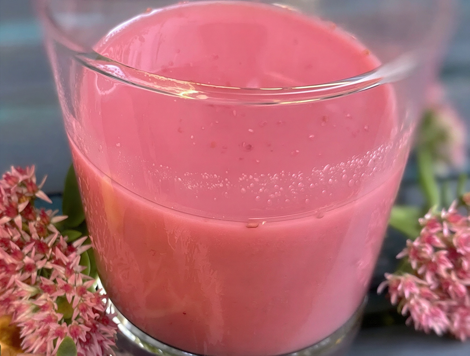 Blueberry Ginger Wellness Shot (Easy Homemade Recipe)